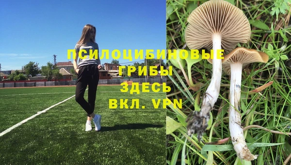 мескалин Нязепетровск