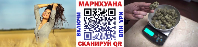 ссылка на мегу как войти  Лодейное Поле  Шишки марихуана марихуана 